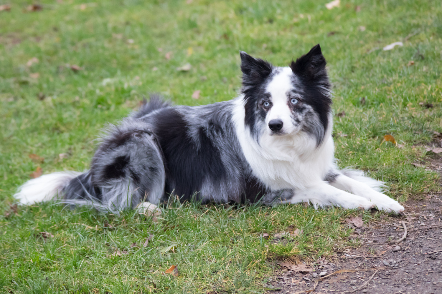 Emma J Photography Bride and Bridesmaids at Wedding