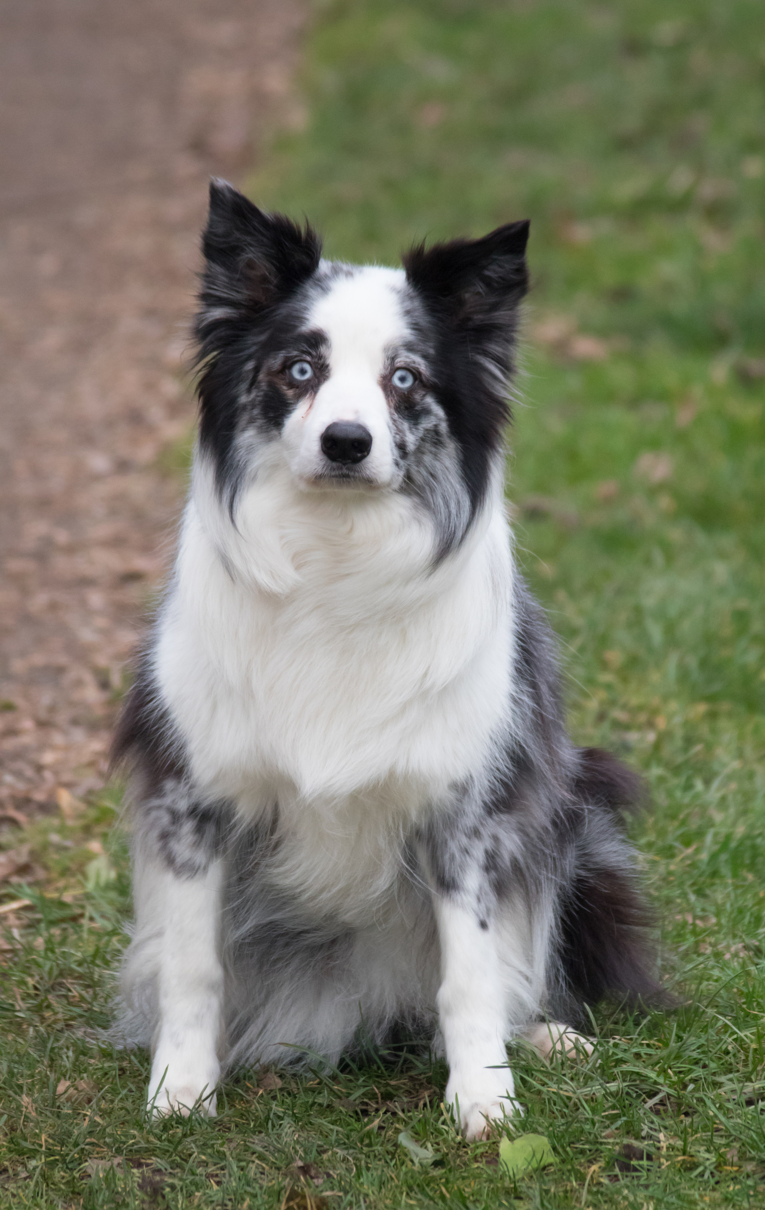 Emma J Photography Bride and Bridesmaids at Wedding
