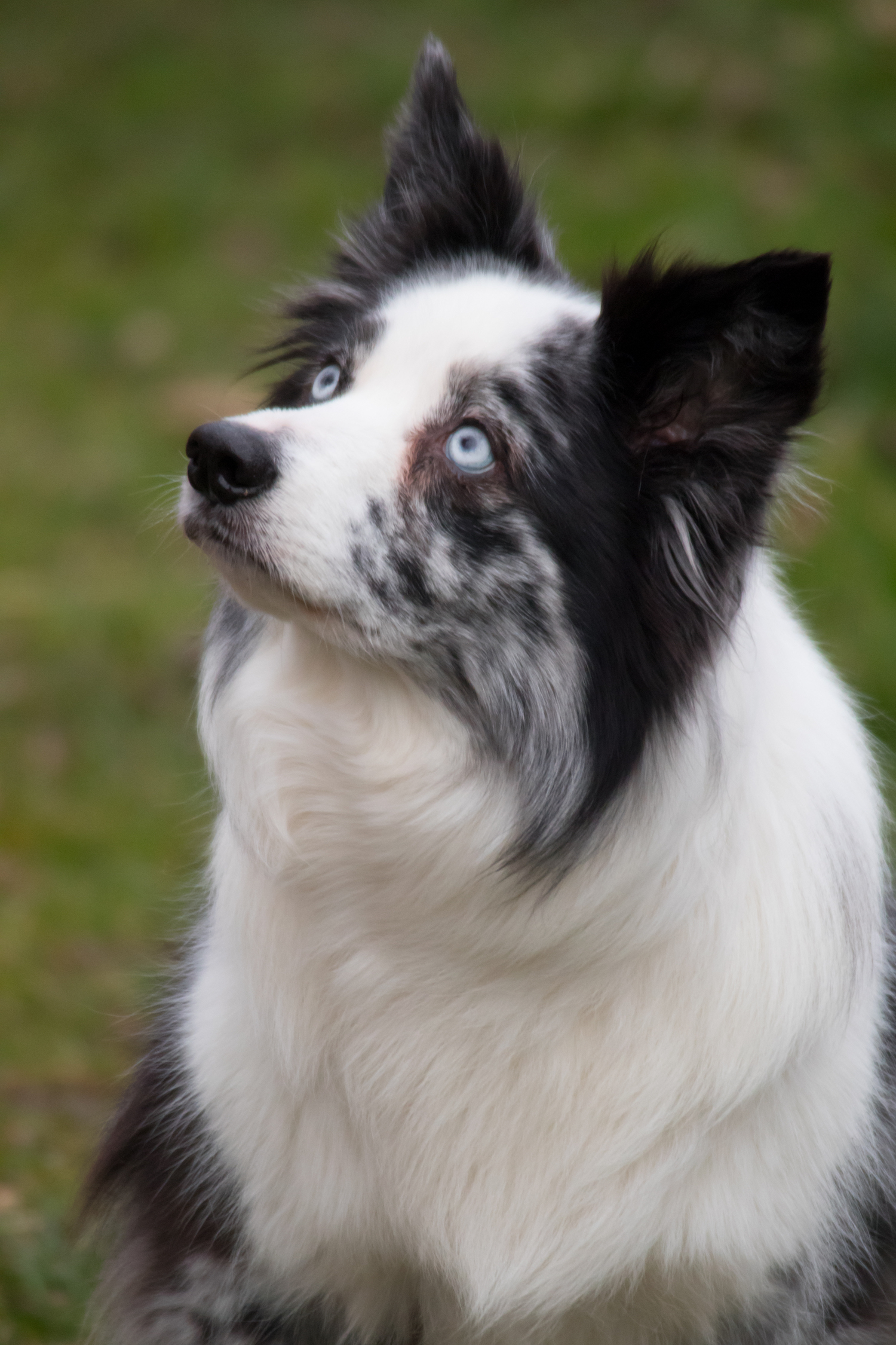 Emma J Photography Bride and Bridesmaids at Wedding