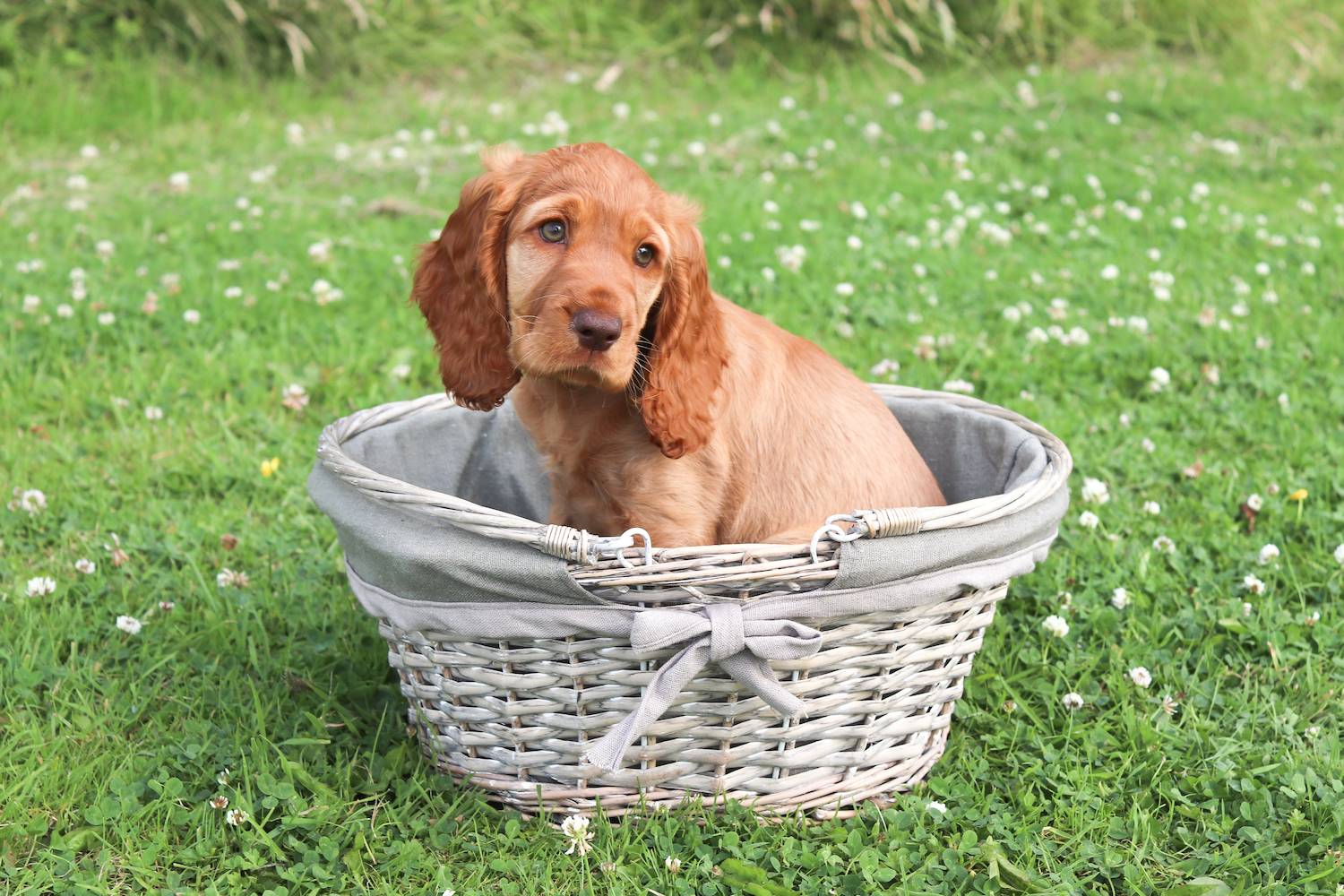 Emma J Photography Bride and Bridesmaids at Wedding
