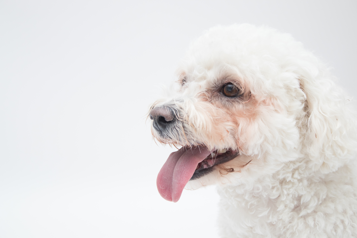 Emma J Photography Bride and Groom at Wedding