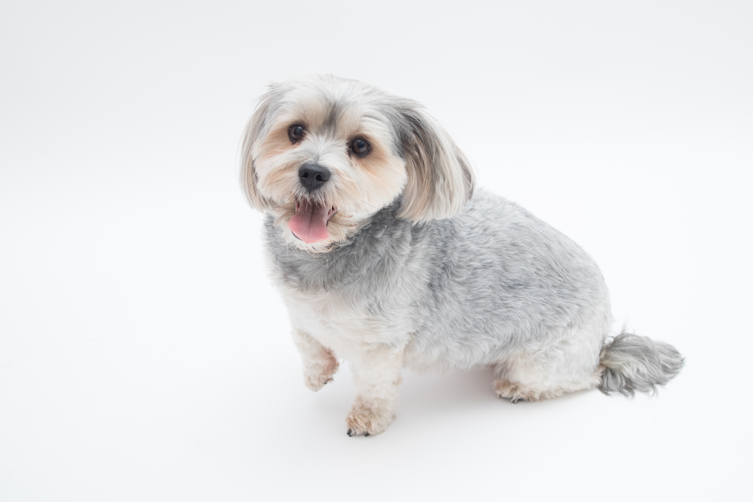 Emma J Photography Bride and Groom at Wedding