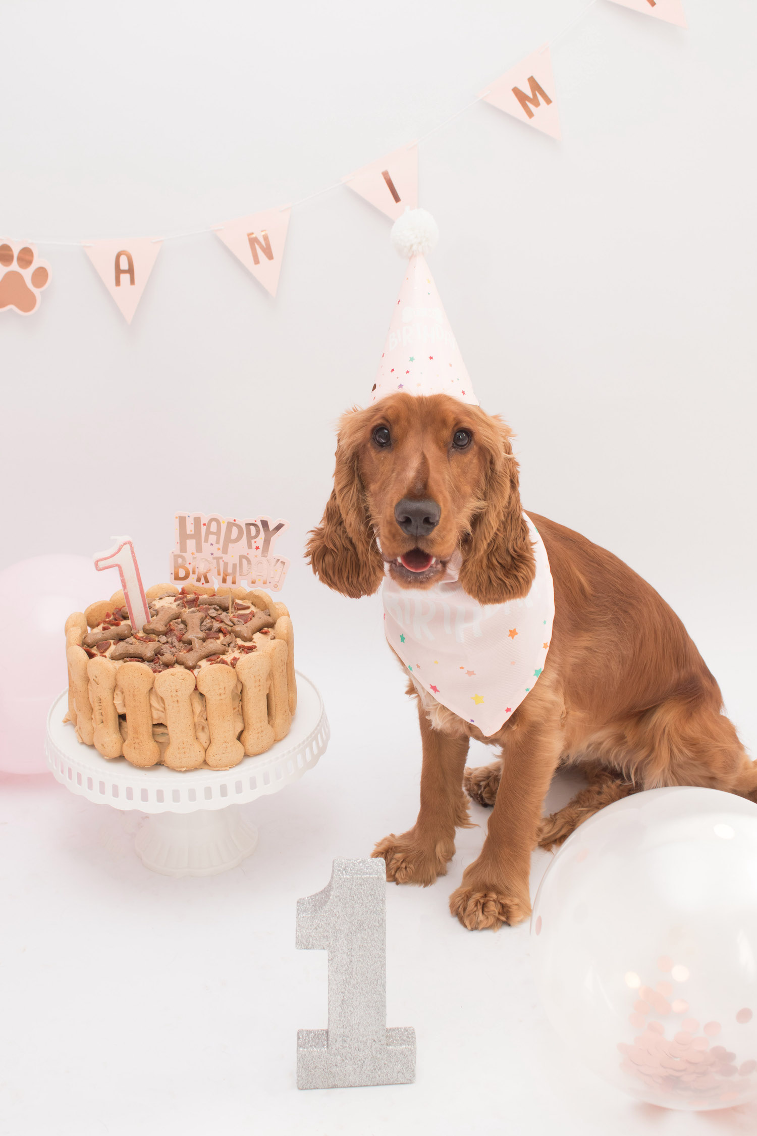 Emma J Photography Bride and Groom at Wedding